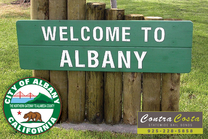 Albany Bail Bonds