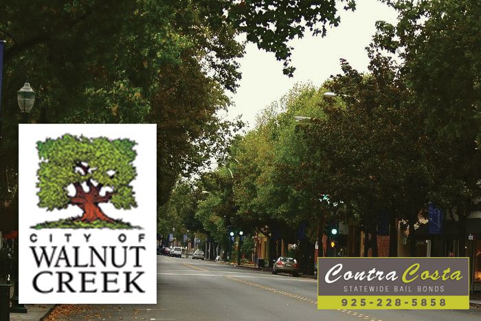 Walnut Creek Bail Bonds