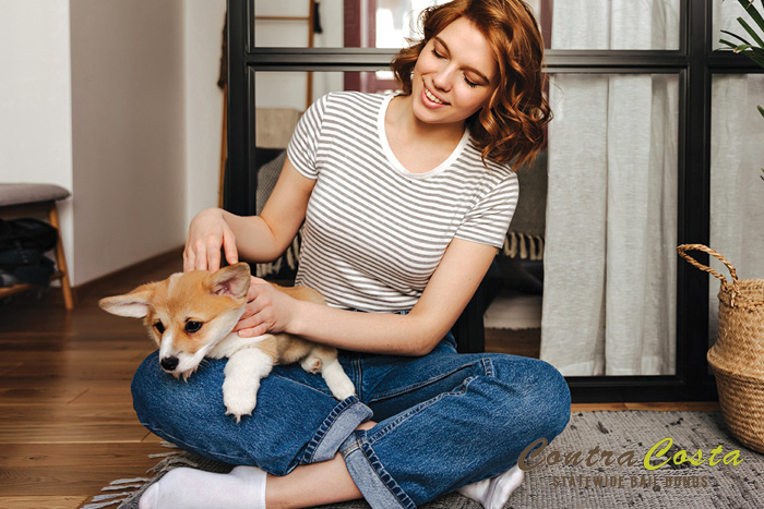 How To Choose A Pet Sitter